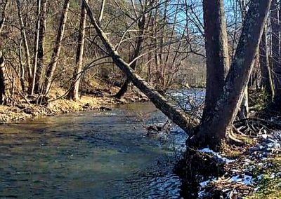 trout fishing available at Creekwood Farm RV